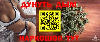 гашик Кулебаки