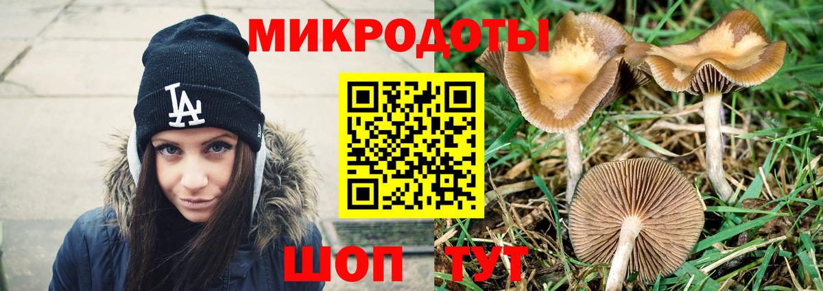 Галлюциногенные грибы Cubensis Усолье-Сибирское